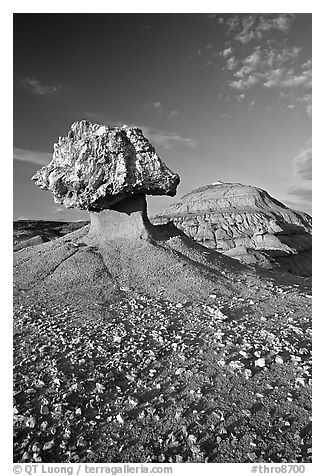 Pedestal petrified log and badlands, late afternoon. Theodore Roosevelt National Park, North Dakota, USA.