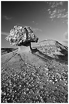 Pedestal petrified log and badlands, late afternoon. Theodore Roosevelt National Park, North Dakota, USA. (black and white)