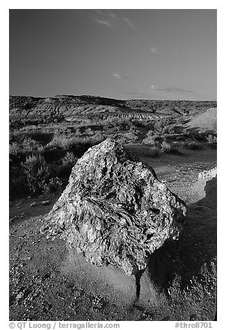 Colorful Petrified stump. Theodore Roosevelt National Park (black and white)