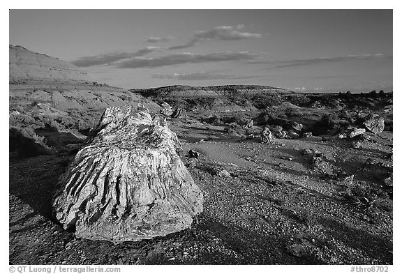 Big Petrified stump and badlands, late afternoon. Theodore Roosevelt National Park (black and white)