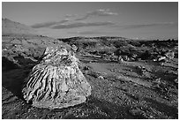 Big Petrified stump and badlands, late afternoon. Theodore Roosevelt National Park, North Dakota, USA. (black and white)