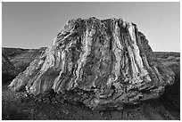 Petrified stump of ancient sequoia tree, late afternoon. Theodore Roosevelt National Park, North Dakota, USA. (black and white)