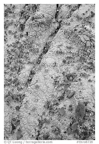 Small pieces of bakelite scattered over cracked bentonite, North Unit. Theodore Roosevelt National Park (black and white)