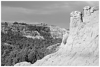 Caprock chimneys, Caprock coulee trail, North Unit. Theodore Roosevelt National Park, North Dakota, USA. (black and white)