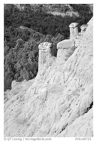 Rain pillars along Caprock coulee trail. Theodore Roosevelt National Park (black and white)