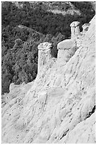 Rain pillars along Caprock coulee trail. Theodore Roosevelt National Park, North Dakota, USA. (black and white)