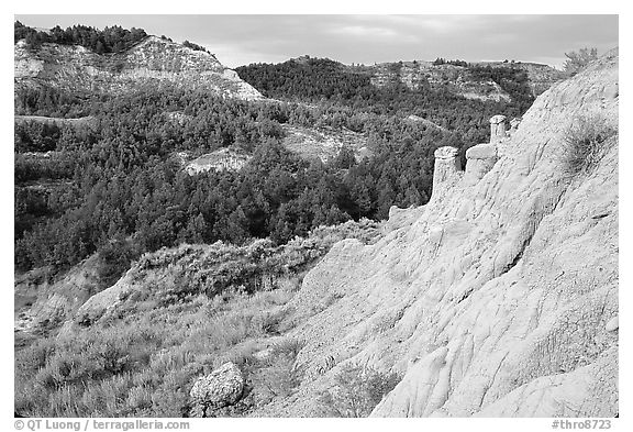 Rain Pillars, Caprock coulee trail, North Unit. Theodore Roosevelt National Park (black and white)