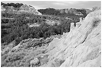 Rain Pillars, Caprock coulee trail, North Unit. Theodore Roosevelt National Park, North Dakota, USA. (black and white)