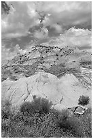 Colorfull badlands, North Unit. Theodore Roosevelt National Park, North Dakota, USA. (black and white)