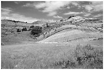 Slump blocks, North Unit. Theodore Roosevelt National Park ( black and white)