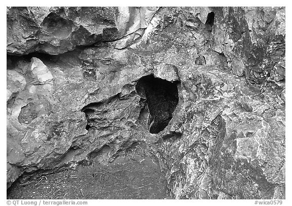 Cave mouth, where strong winds equalize pressure between inside outside. Wind Cave National Park, South Dakota, USA.