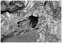 Cave mouth, where strong winds equalize pressure between inside outside. Wind Cave National Park, South Dakota, USA. (black and white)