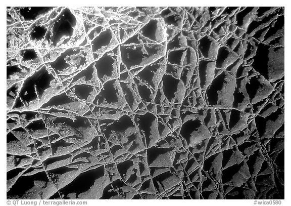 The cave unique boxwork, a calcite formation. Wind Cave National Park (black and white)