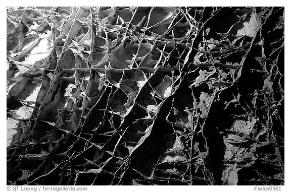 The cave unique boxwork, a calcite formation. Wind Cave National Park (black and white)