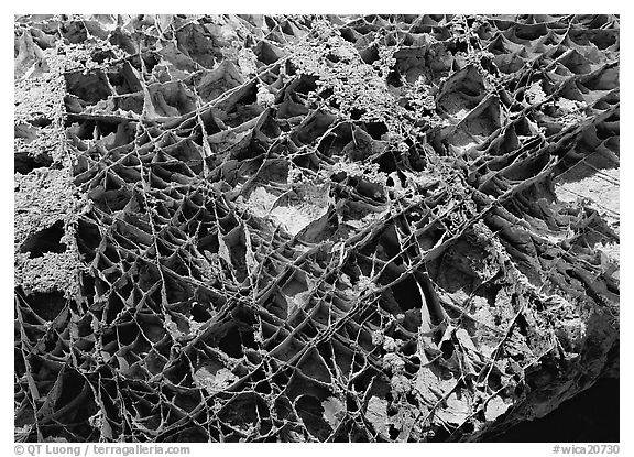 Boxwork ceilling cave formation. Wind Cave National Park (black and white)