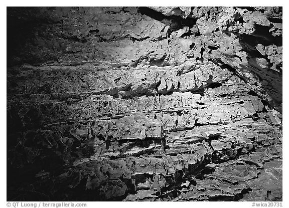 Cave concretions. Wind Cave National Park (black and white)