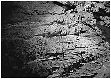 Cave concretions. Wind Cave National Park, South Dakota, USA. (black and white)