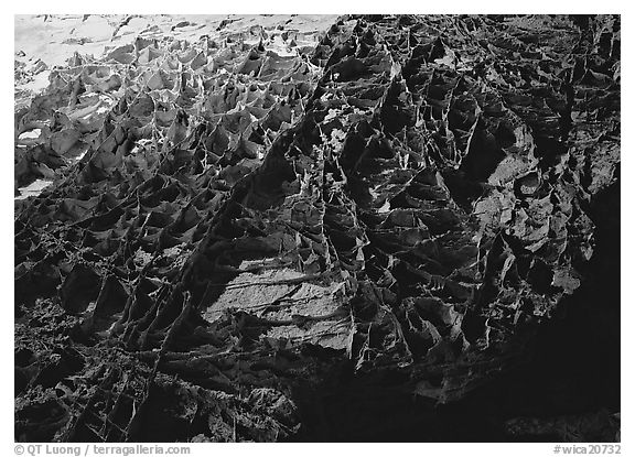 Cave ceilling with rare boxwork concretions. Wind Cave National Park (black and white)