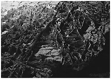 Cave ceilling with rare boxwork concretions. Wind Cave National Park ( black and white)