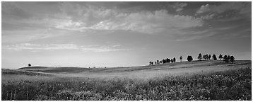 Gently rolling hills with trees on ridge. Wind Cave  National Park (Panoramic black and white)