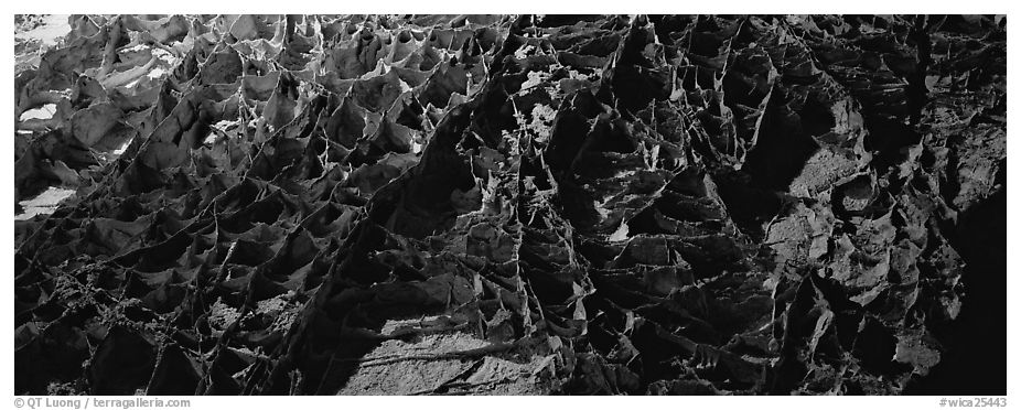 Boxworks underground formations. Wind Cave National Park (black and white)