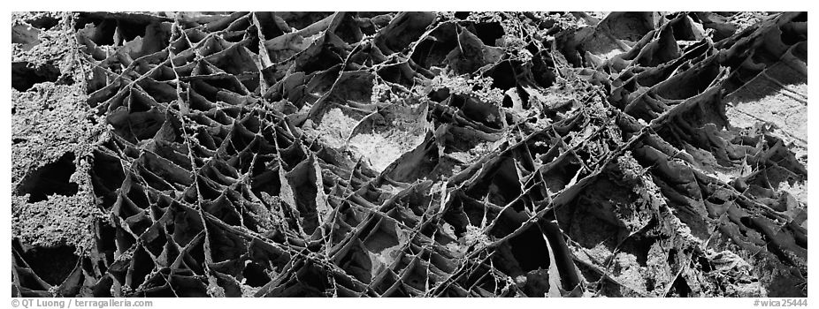 Cave ceiling with boxwork. Wind Cave National Park (black and white)