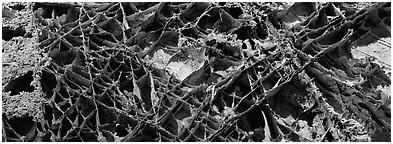 Cave ceiling with boxwork. Wind Cave National Park (Panoramic black and white)