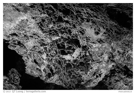 Boxwork in dolomite layers. Wind Cave National Park (black and white)