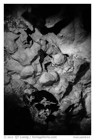 Cave ceiling. Wind Cave National Park (black and white)