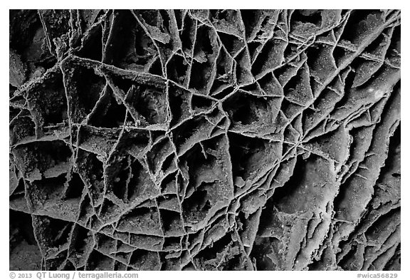 Thin calcite fins resembling honeycombs in cave ceiling. Wind Cave National Park (black and white)