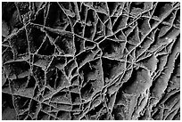 Thin calcite fins resembling honeycombs in cave ceiling. Wind Cave National Park ( black and white)