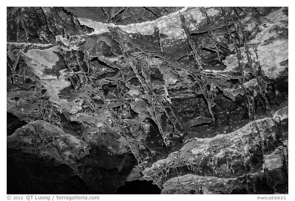 Thin blades of calcite projecting from cave walls and ceilings. Wind Cave National Park (black and white)