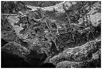 Thin blades of calcite projecting from cave walls and ceilings. Wind Cave National Park ( black and white)