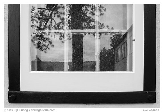 Pine and hill, Visitor center window reflexion. Wind Cave National Park (black and white)