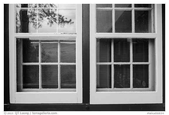 Pine, hill, building, Visitor center window reflexion. Wind Cave National Park, South Dakota, USA.