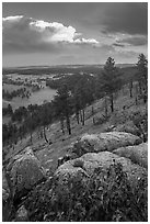 Rankin Ridge and cumulonimbus cloud in late afternoon. Wind Cave National Park ( black and white)