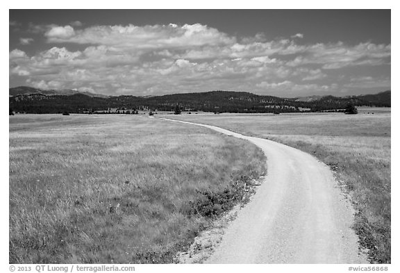 Gravel road through Red Valley. Wind Cave National Park (black and white)