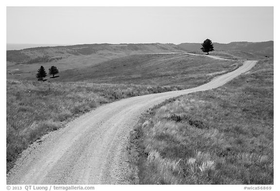 Unpaved road. Wind Cave National Park (black and white)