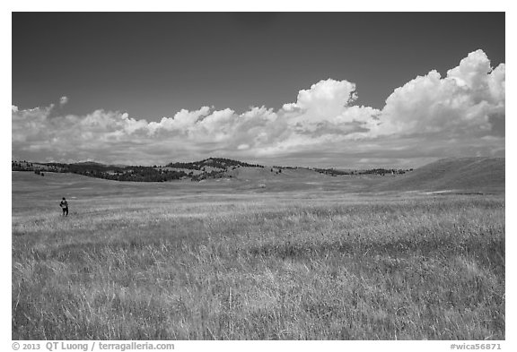Park visitor looking, prairie and rolling hills. Wind Cave National Park (black and white)
