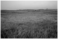 Tallgrass prairie. Wind Cave National Park, South Dakota, USA. (black and white)