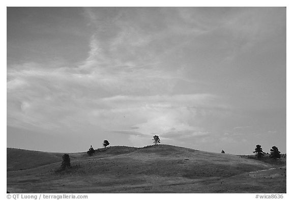 Hills, sunset. Wind Cave National Park, South Dakota, USA.