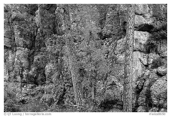 Limestone cliff. Wind Cave National Park (black and white)