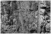 Limestone cliff. Wind Cave National Park, South Dakota, USA. (black and white)