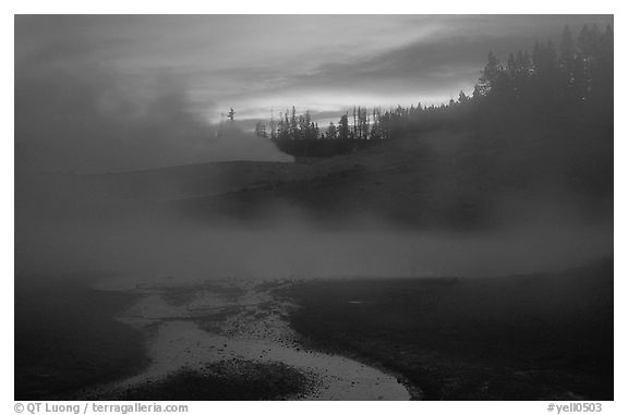 Norris geyser basin at sunrise. Yellowstone National Park (black and white)