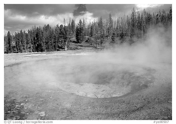Steam out of Beauty pool in Upper geyser basin. Yellowstone National Park (black and white)