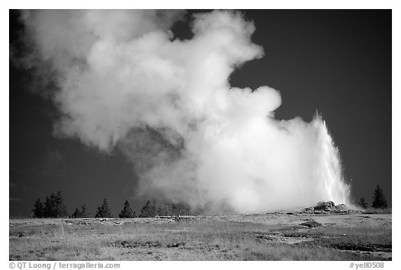 Steam clouds drifting from Old Faithfull geyser. Yellowstone National Park, Wyoming, USA.
