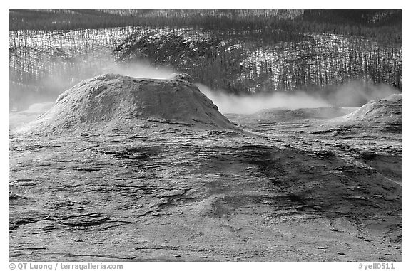 Geyser cone in Upper geyser basin. Yellowstone National Park (black and white)