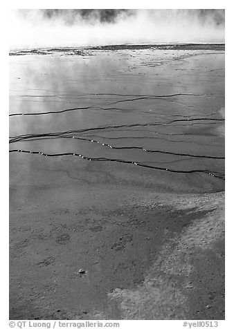 Terraces in Great prismatic springs, Midway geyser basin. Yellowstone National Park, Wyoming, USA.