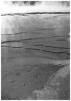 Terraces in Great prismatic springs, Midway geyser basin. Yellowstone National Park, Wyoming, USA. (black and white)