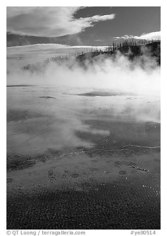 Great prismatic springs, thermal steam, and hill,  Midway geyser basin. Yellowstone National Park, Wyoming, USA.